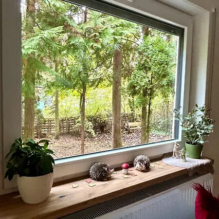 Ferienhaus Haus Mit Sauna Am Waldrand - Naehe Brombachsee Altmuehlsee Windsbach