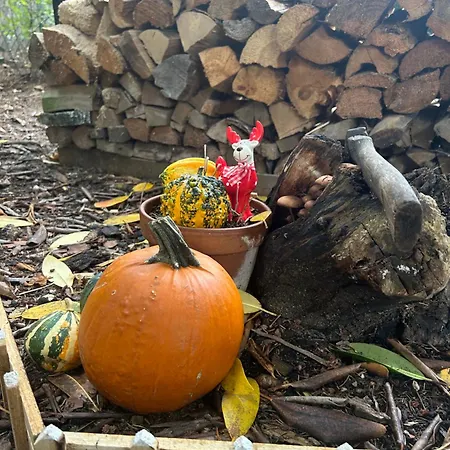 Nyaraló Haus Mit Sauna Am Waldrand - Naehe Brombachsee Altmuehlsee *